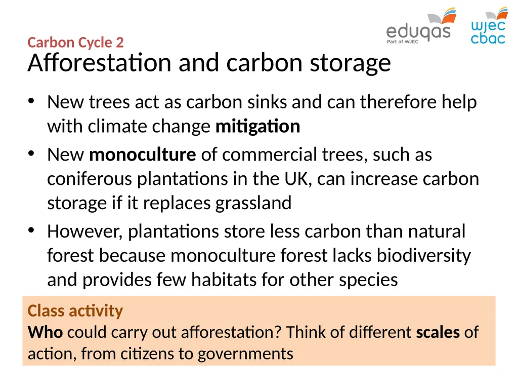 CARBON CYCLE 2: biome storage WJEC Focus Box 3.1.7 - slide 11 of 13