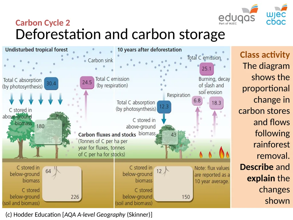 CARBON CYCLE 2: biome storage WJEC Focus Box 3.1.7 - slide 10 of 13