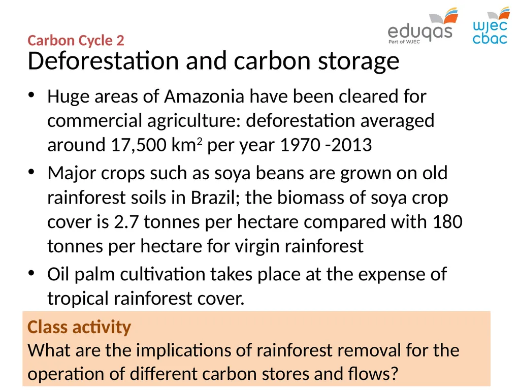 CARBON CYCLE 2: biome storage WJEC Focus Box 3.1.7 - slide 9 of 13