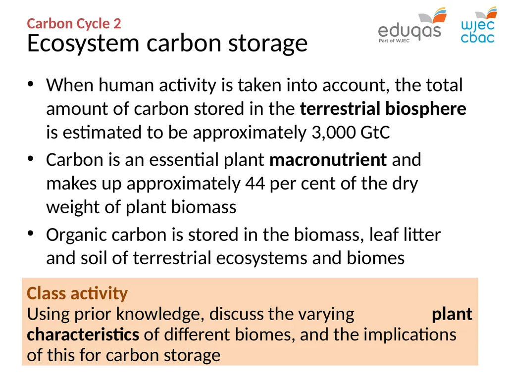 CARBON CYCLE 2: biome storage WJEC Focus Box 3.1.7 - slide 2 of 13