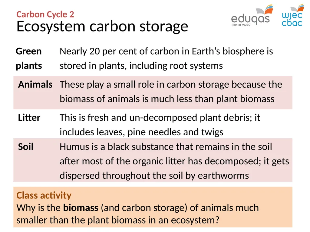 CARBON CYCLE 2: biome storage WJEC Focus Box 3.1.7 - slide 3 of 13