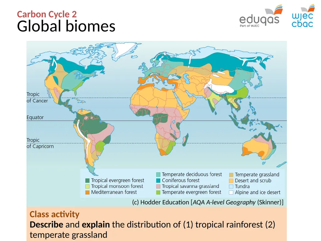 CARBON CYCLE 2: biome storage WJEC Focus Box 3.1.7 - slide 4 of 13