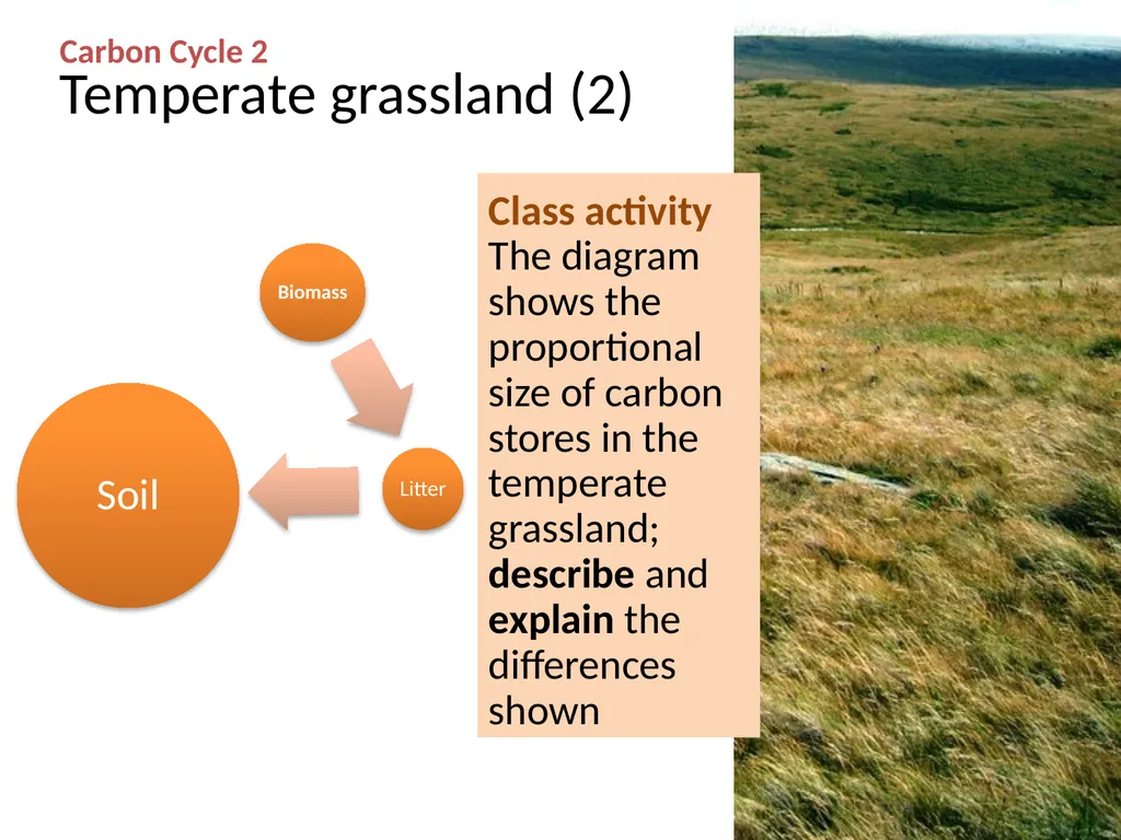 CARBON CYCLE 2: biome storage WJEC Focus Box 3.1.7 - slide 8 of 13