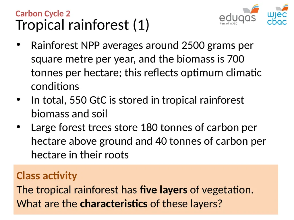 CARBON CYCLE 2: biome storage WJEC Focus Box 3.1.7 - slide 5 of 13