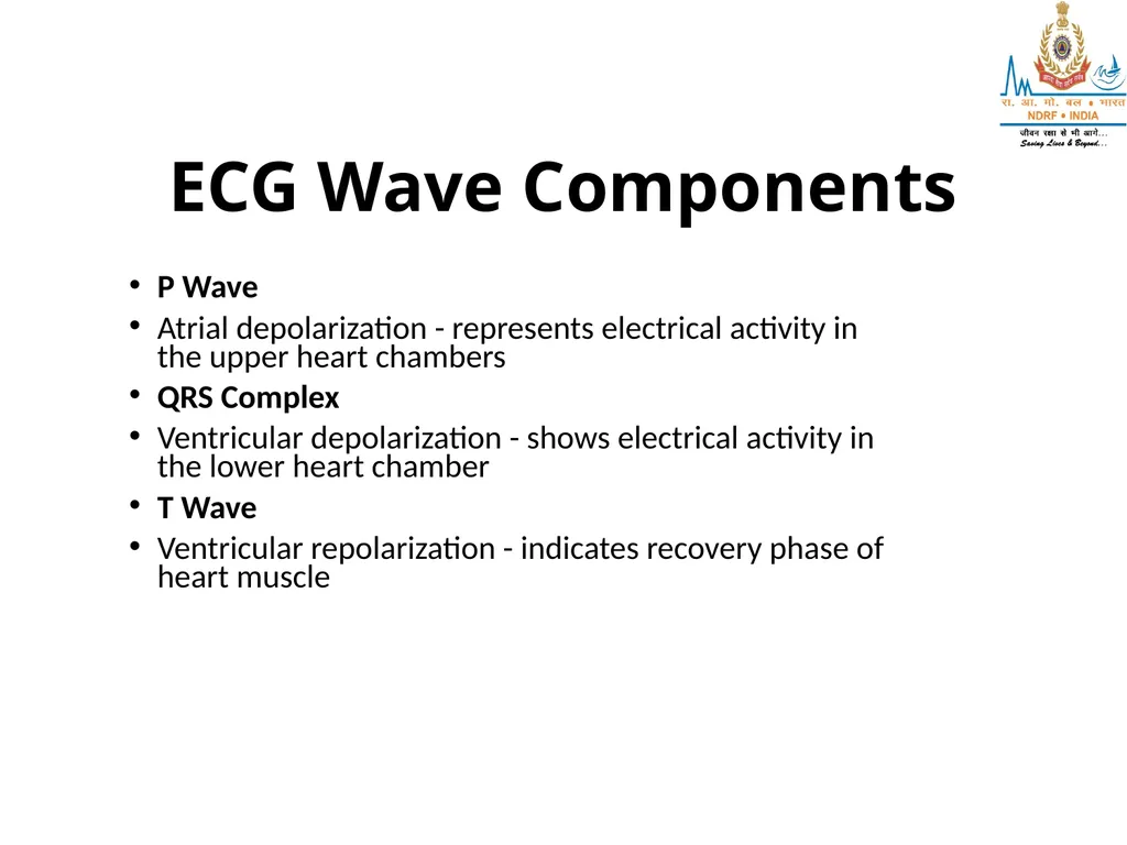 What is ECG? UNDERSTANDING ECG LESSON -2 By - slide 4 of 11