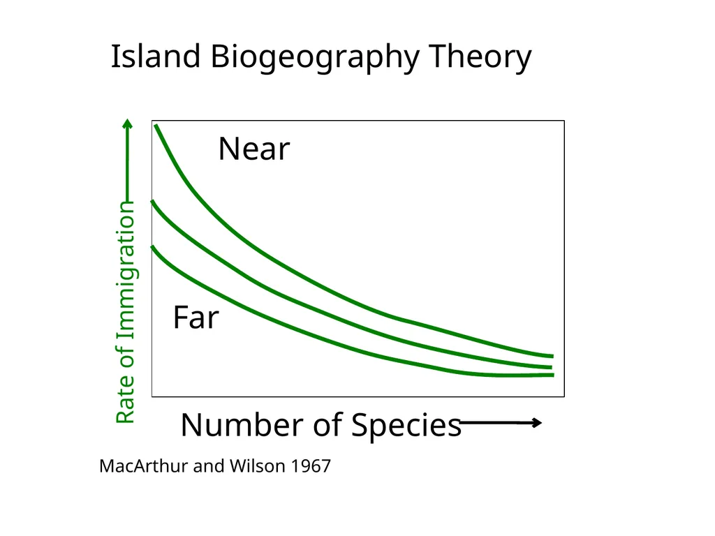 Lecture 11: island biogeography hypothesis May 8, - slide 13 of 24
