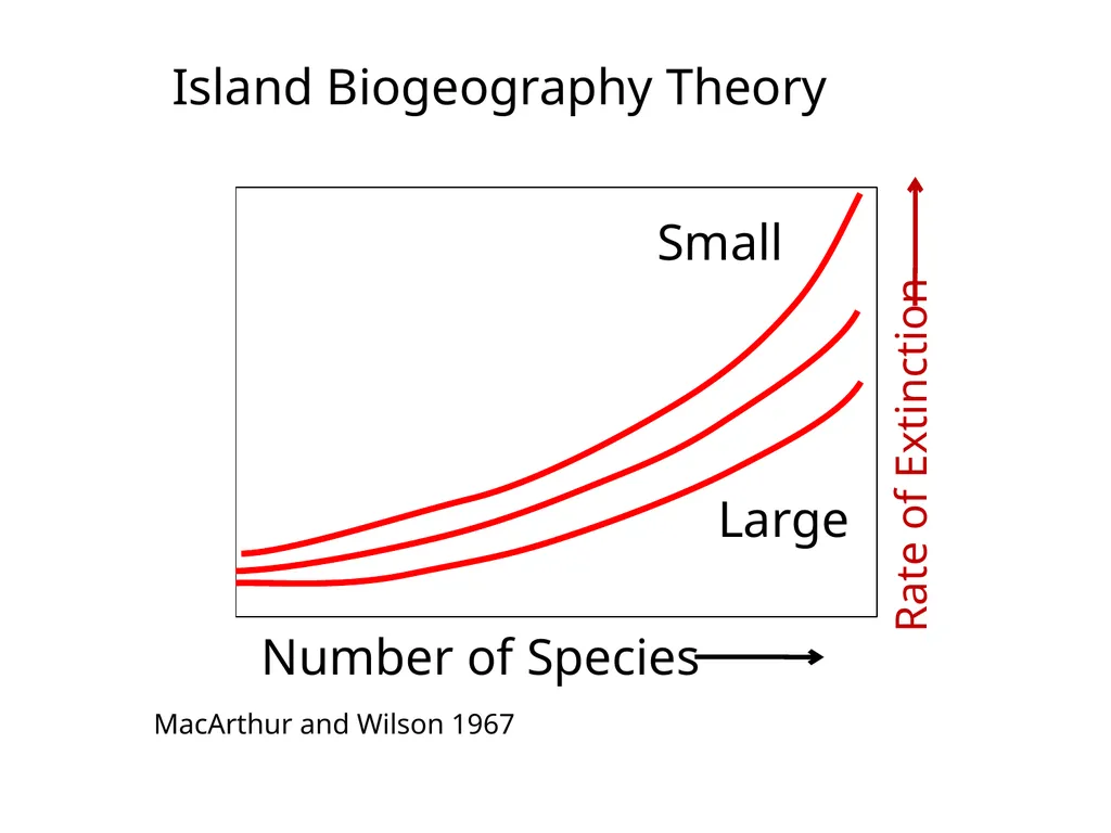 Lecture 11: island biogeography hypothesis May 8, - slide 14 of 24