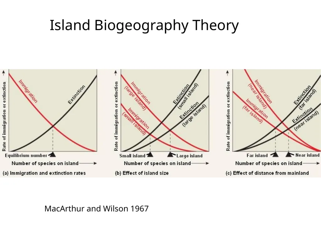 Lecture 11: island biogeography hypothesis May 8, - slide 17 of 24