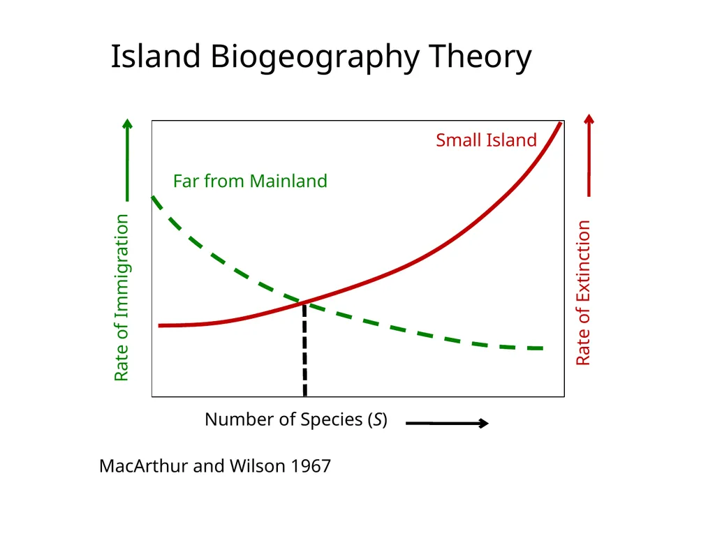 Lecture 11: island biogeography hypothesis May 8, - slide 18 of 24