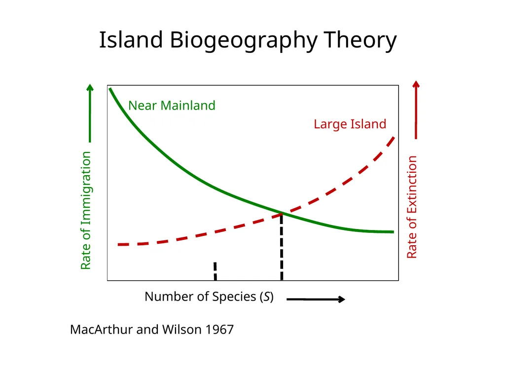 Lecture 11: island biogeography hypothesis May 8, - slide 19 of 24