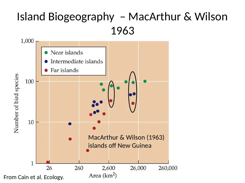 Lecture 11: island biogeography hypothesis May 8, - slide 9 of 24