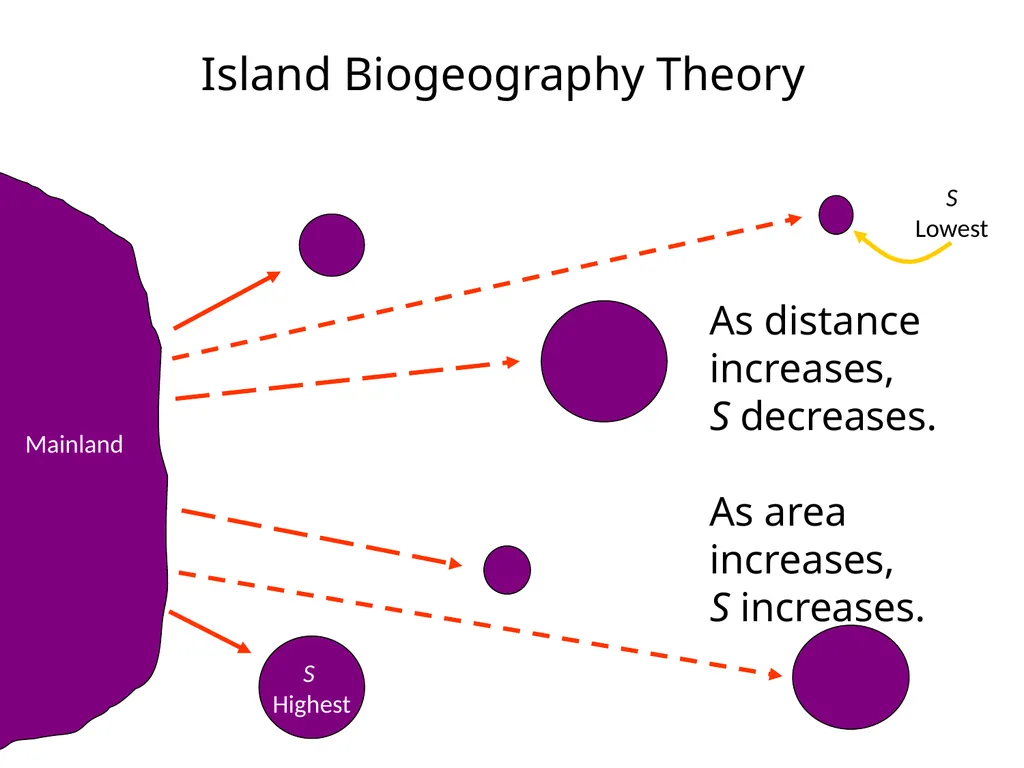 Lecture 11: island biogeography hypothesis May 8, - slide 10 of 24