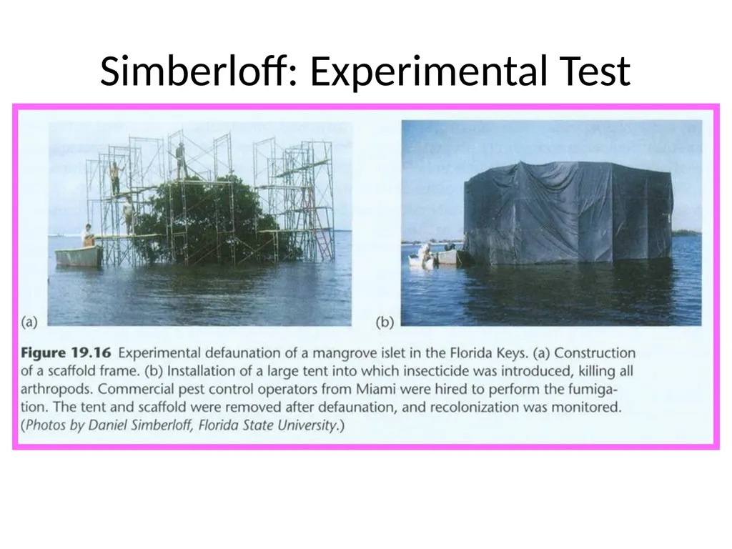 Lecture 11: island biogeography hypothesis May 8, - slide 21 of 24