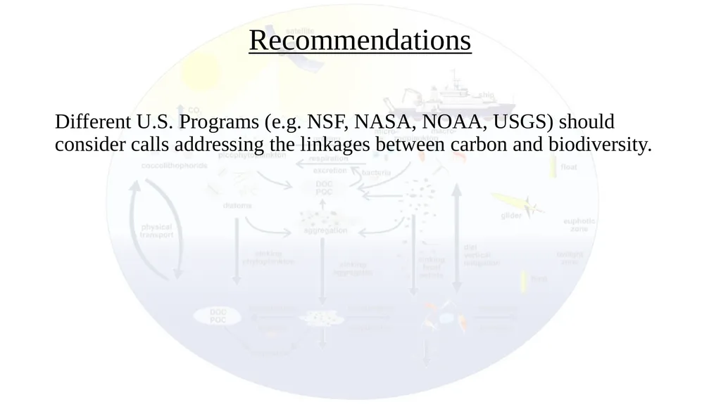 Exploring Linkages Between the Carbon Cycle and - slide 6 of 7
