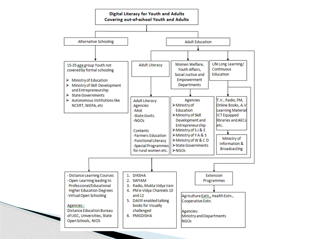 Digital Literacy for Youth and Adults (Issues, - slide 9 of 10