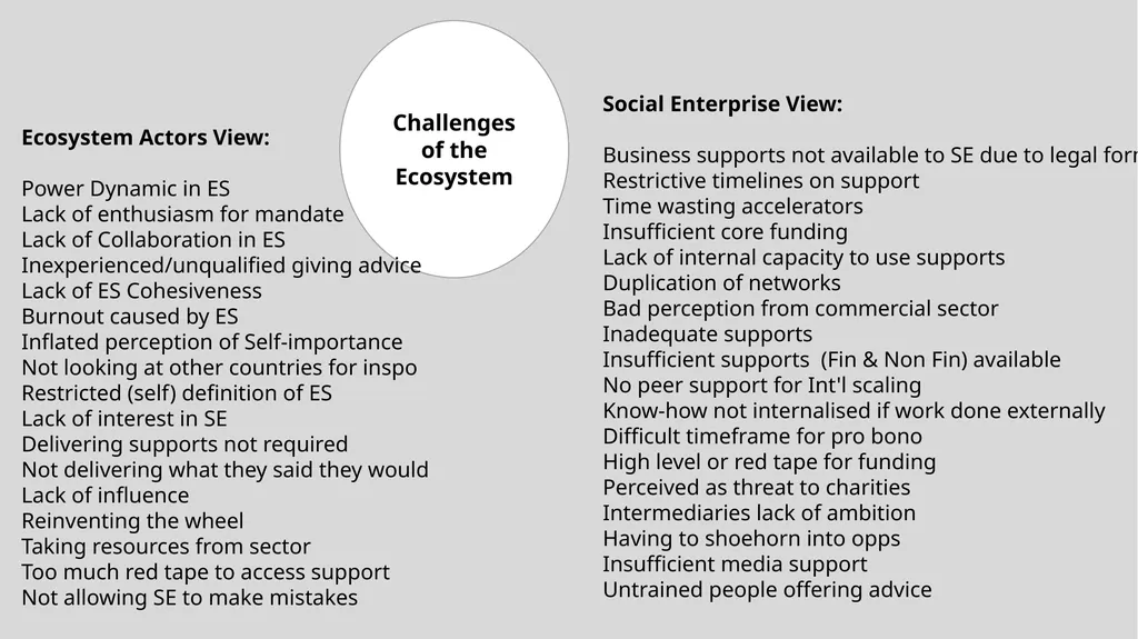 Insights into an emerging social enterprise - slide 9 of 16