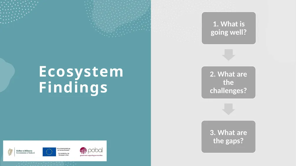 Insights into an emerging social enterprise - slide 5 of 16