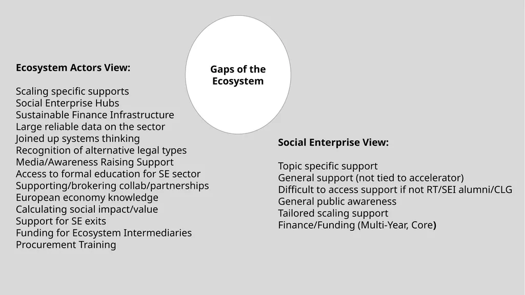 Insights into an emerging social enterprise - slide 11 of 16