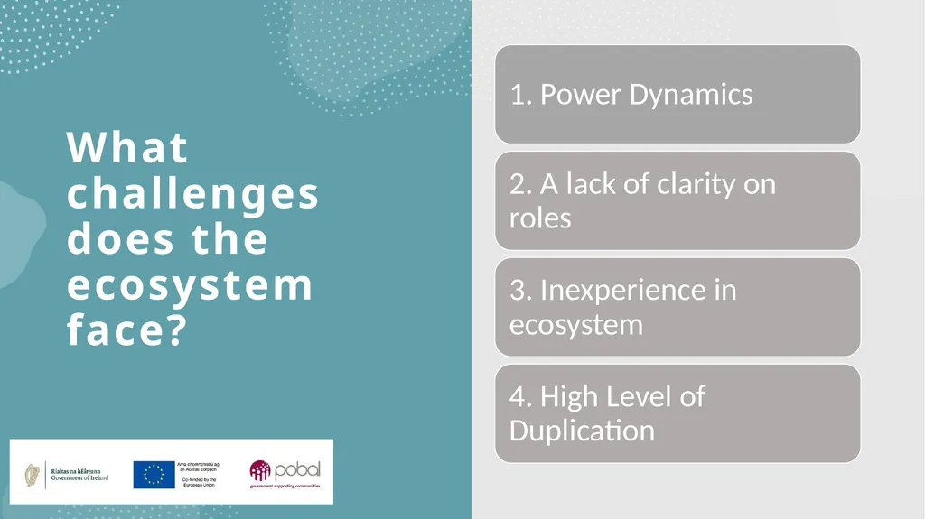 Insights into an emerging social enterprise - slide 8 of 16