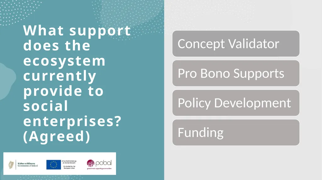 Insights into an emerging social enterprise - slide 6 of 16
