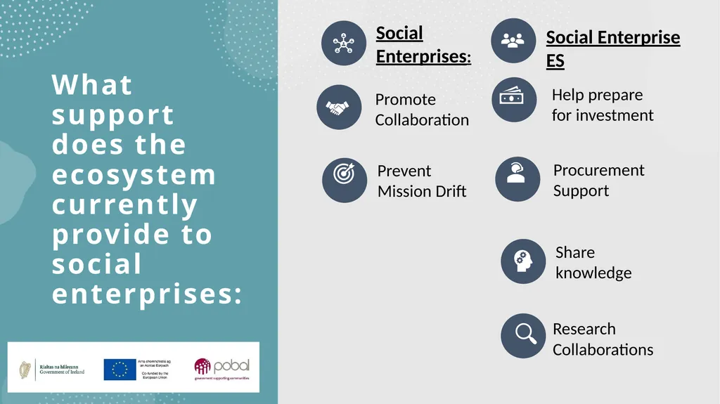 Insights into an emerging social enterprise - slide 7 of 16