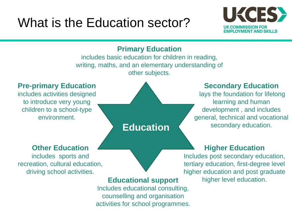 Sector Skills Insights: Education Introduction The - slide 4 of 16