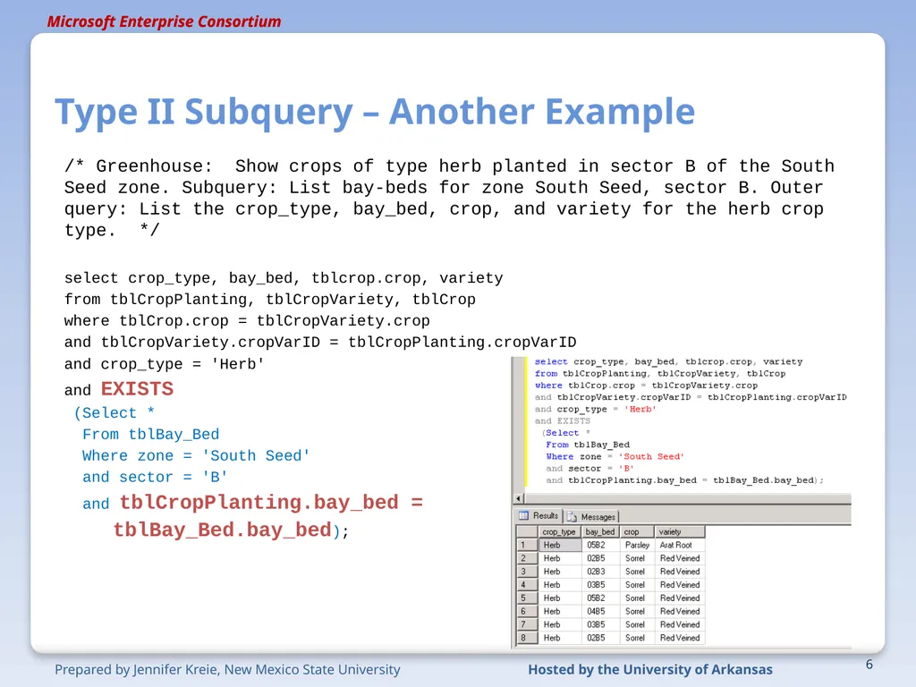 Advanced SQL Type II (Correlated) Subquery 1 - slide 6 of 9