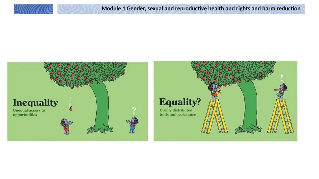 1 Module 1 Gender, sexual and reproductive health - slide 11 of 21