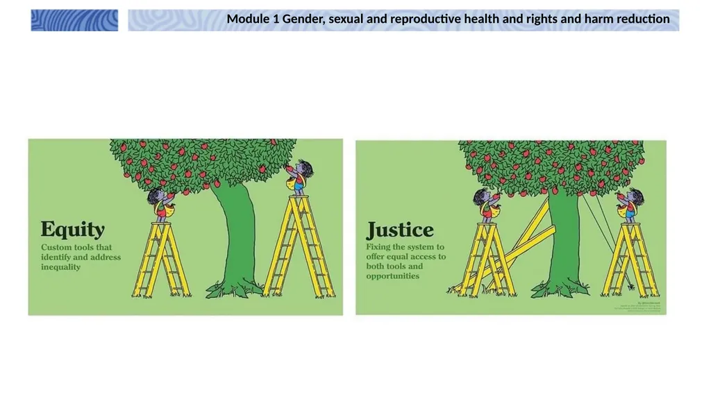 1 Module 1 Gender, sexual and reproductive health - slide 12 of 21