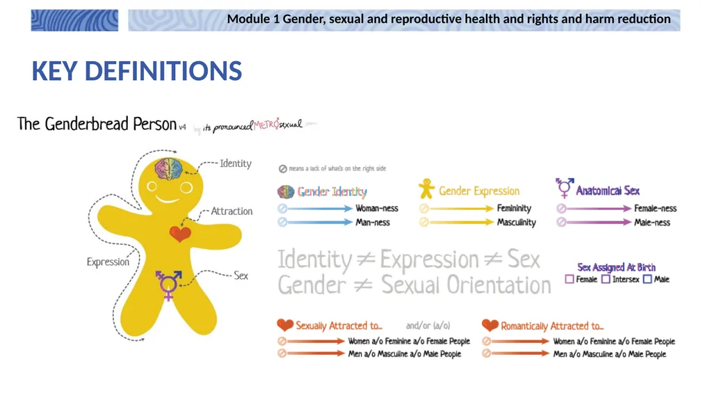 1 Module 1 Gender, sexual and reproductive health - slide 5 of 21