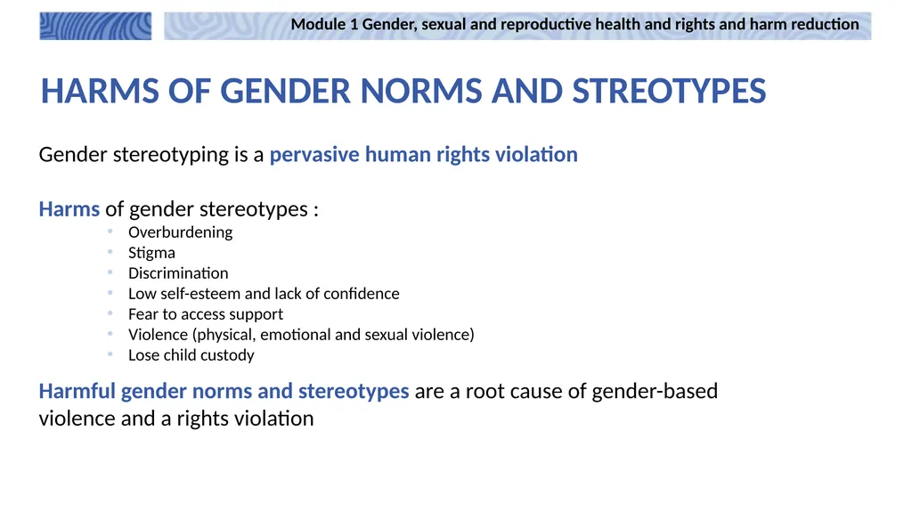 1 Module 1 Gender, sexual and reproductive health - slide 9 of 21