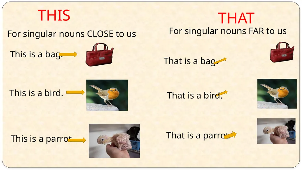 This That These Those By TeacherDaiana - slide 3 of 17