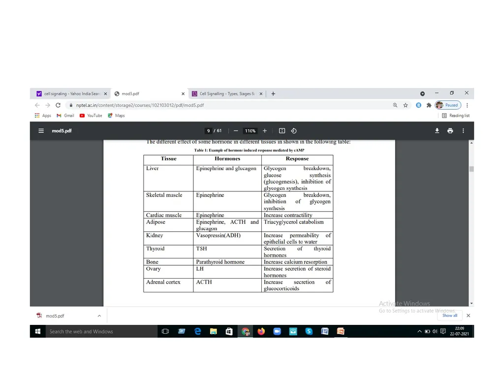 CELL SIGNALLING “Cell signalling is the process by - slide 19 of 19
