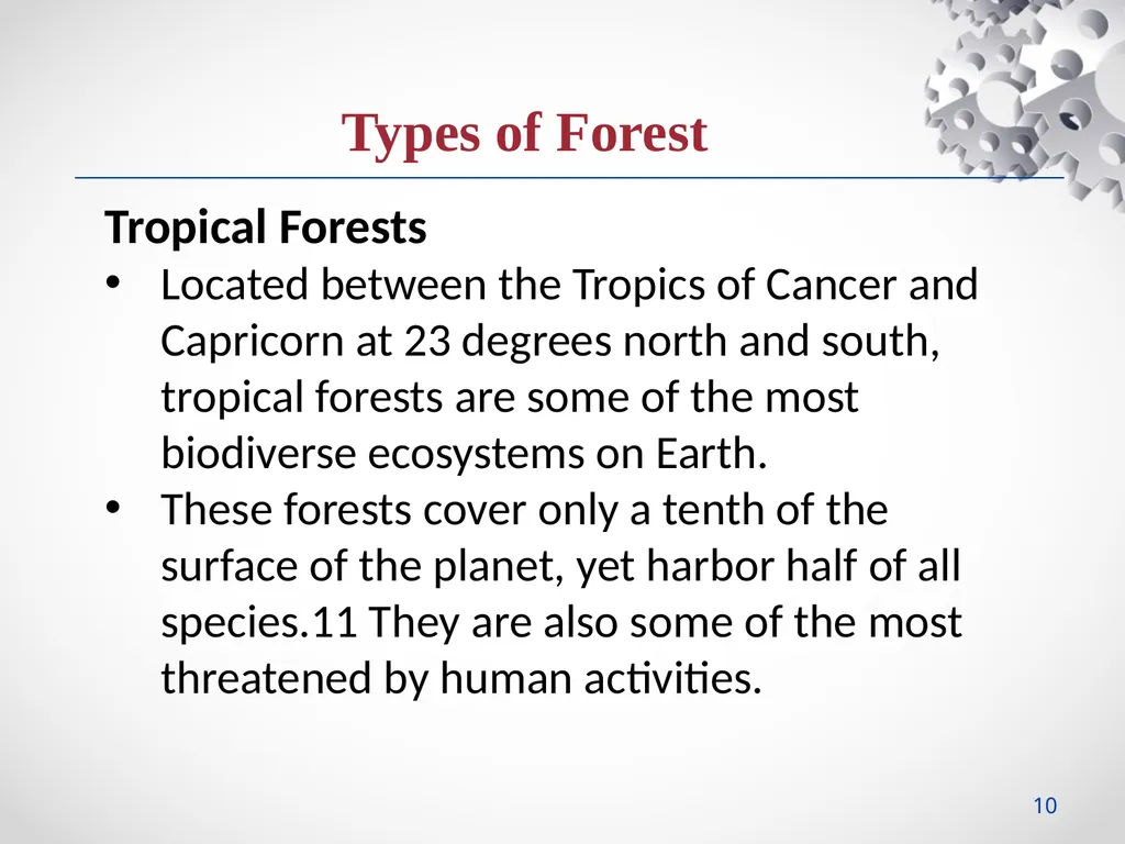 StudyMafia.Org Submitted To: Submitted By: - slide 10 of 24