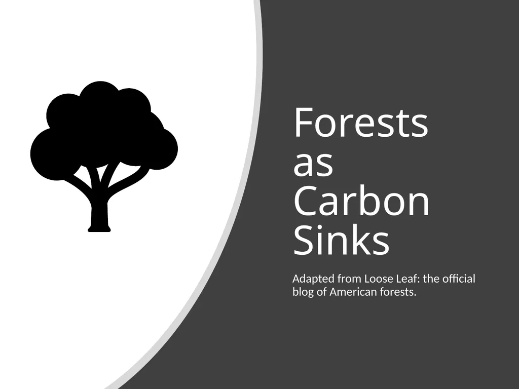 Forests as Carbon Sinks Adapted from Loose Leaf: - slide 1 of 11