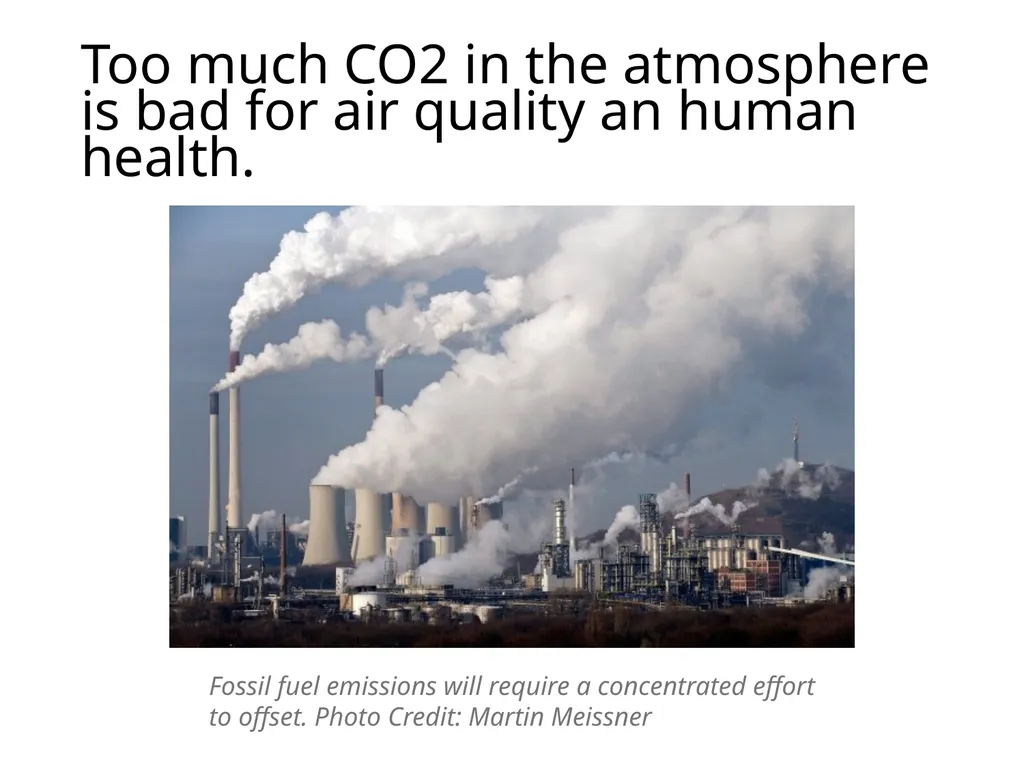 Forests as Carbon Sinks Adapted from Loose Leaf: - slide 10 of 11