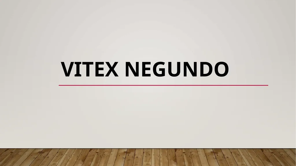 Vitex negundo Synonyms : V. bicolor, V. Incisa. - slide 1 of 8