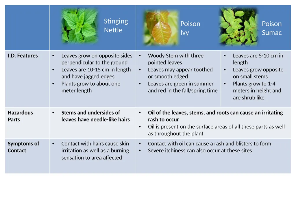 Hazardous Plants The following slides will discuss - slide 2 of 4