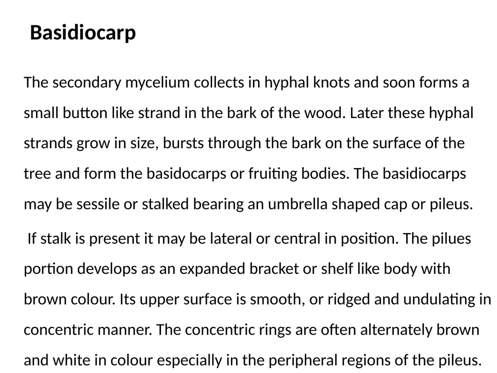 Sem. V, Paper V (B.Sc.III) Polyporus Asso. Prof. - slide 10 of 15