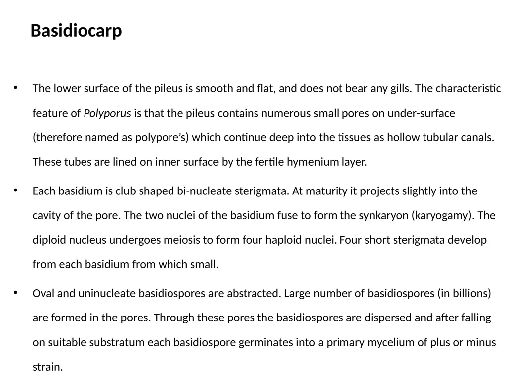 Sem. V, Paper V (B.Sc.III) Polyporus Asso. Prof. - slide 11 of 15