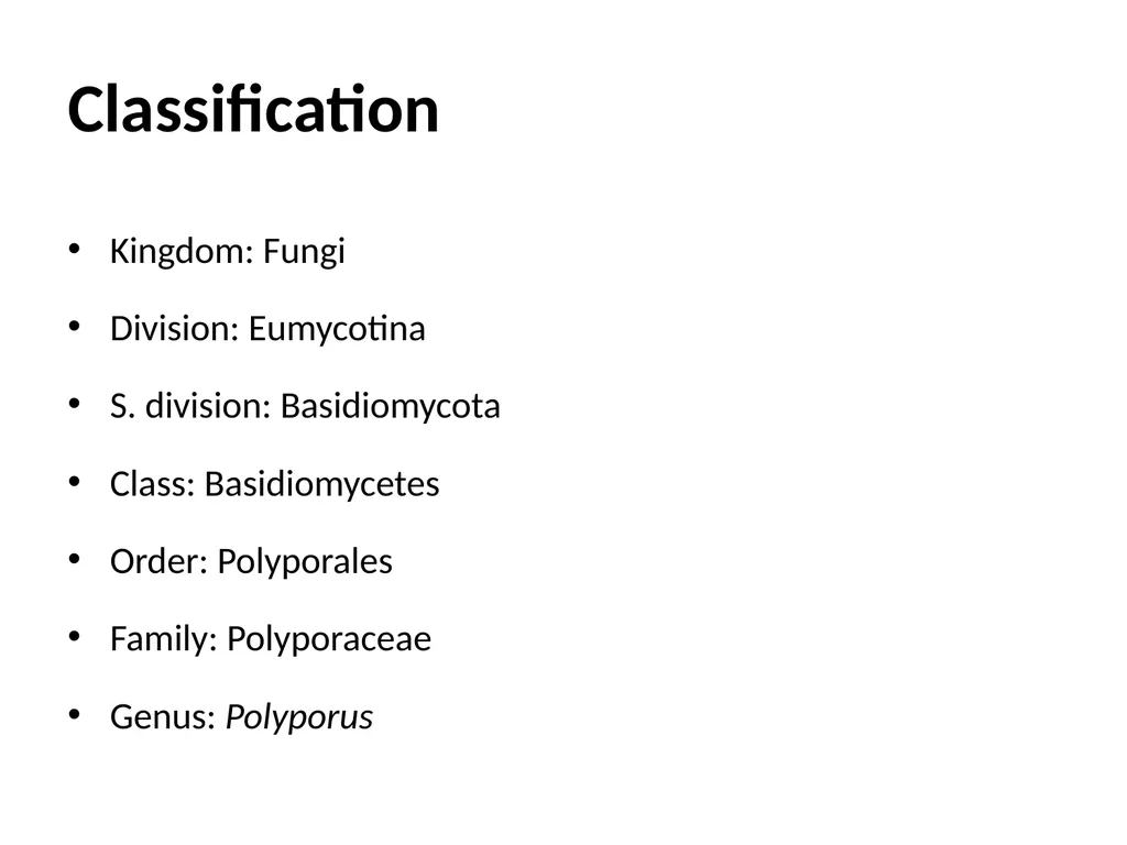Sem. V, Paper V (B.Sc.III) Polyporus Asso. Prof. - slide 2 of 15