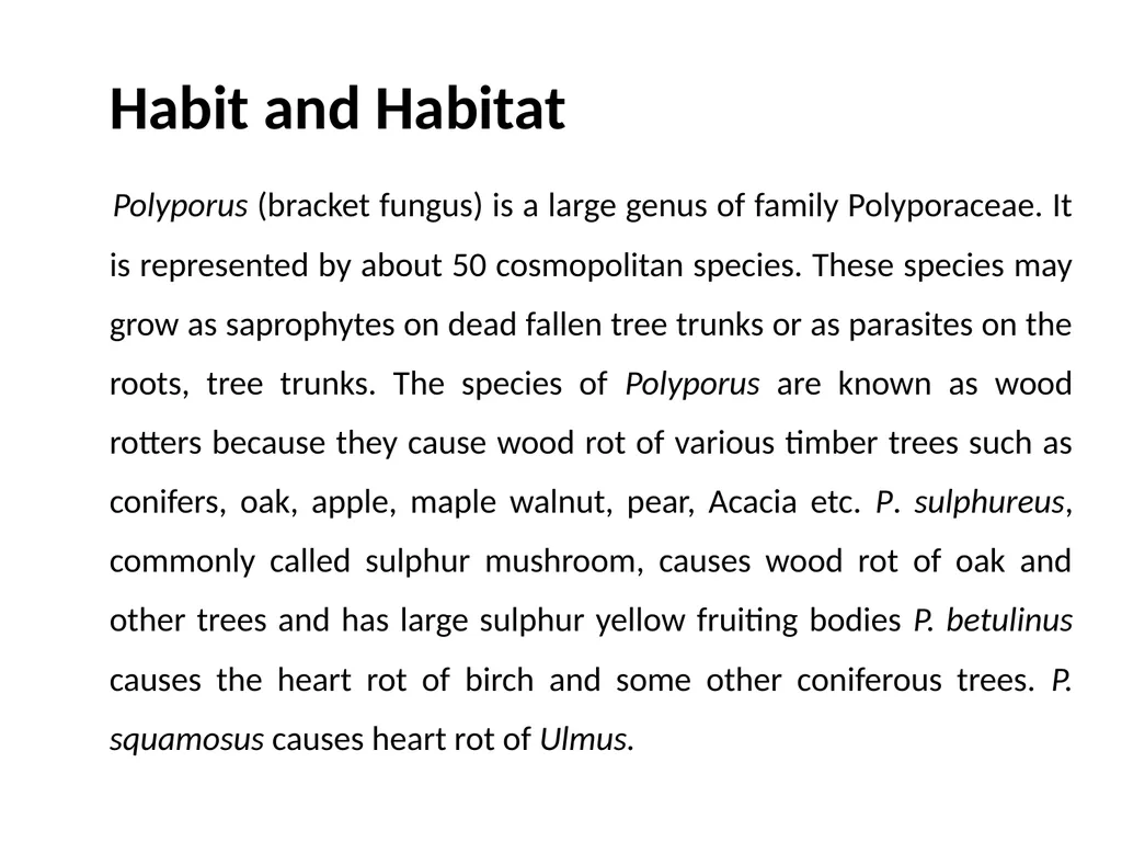 Sem. V, Paper V (B.Sc.III) Polyporus Asso. Prof. - slide 4 of 15