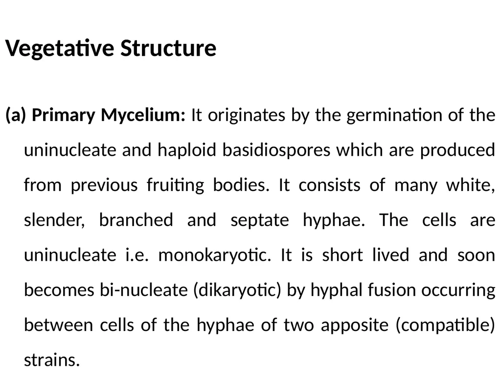 Sem. V, Paper V (B.Sc.III) Polyporus Asso. Prof. - slide 5 of 15
