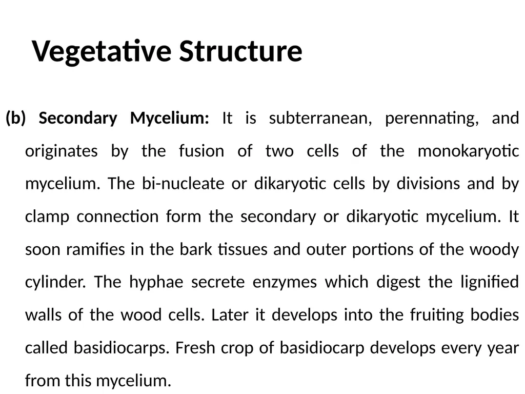 Sem. V, Paper V (B.Sc.III) Polyporus Asso. Prof. - slide 6 of 15