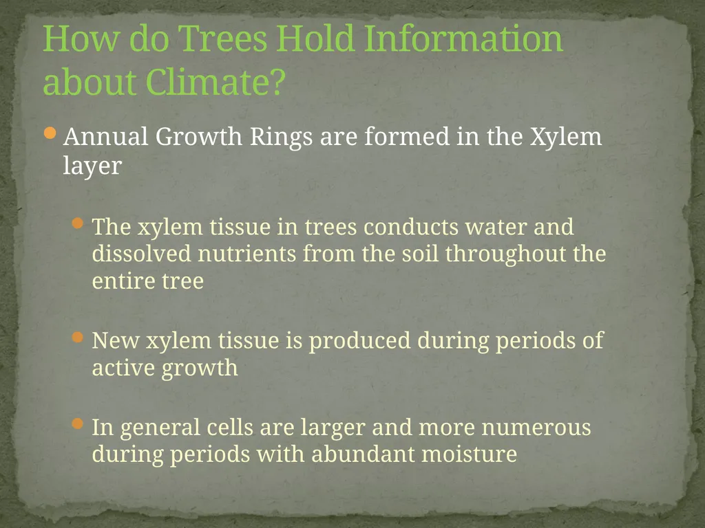 How Trees Provide Evidence about Past Climate - slide 5 of 10