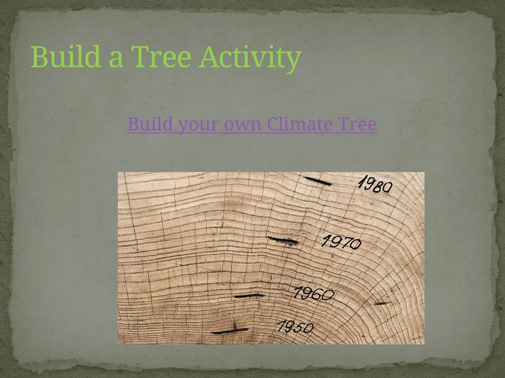 How Trees Provide Evidence about Past Climate - slide 8 of 10