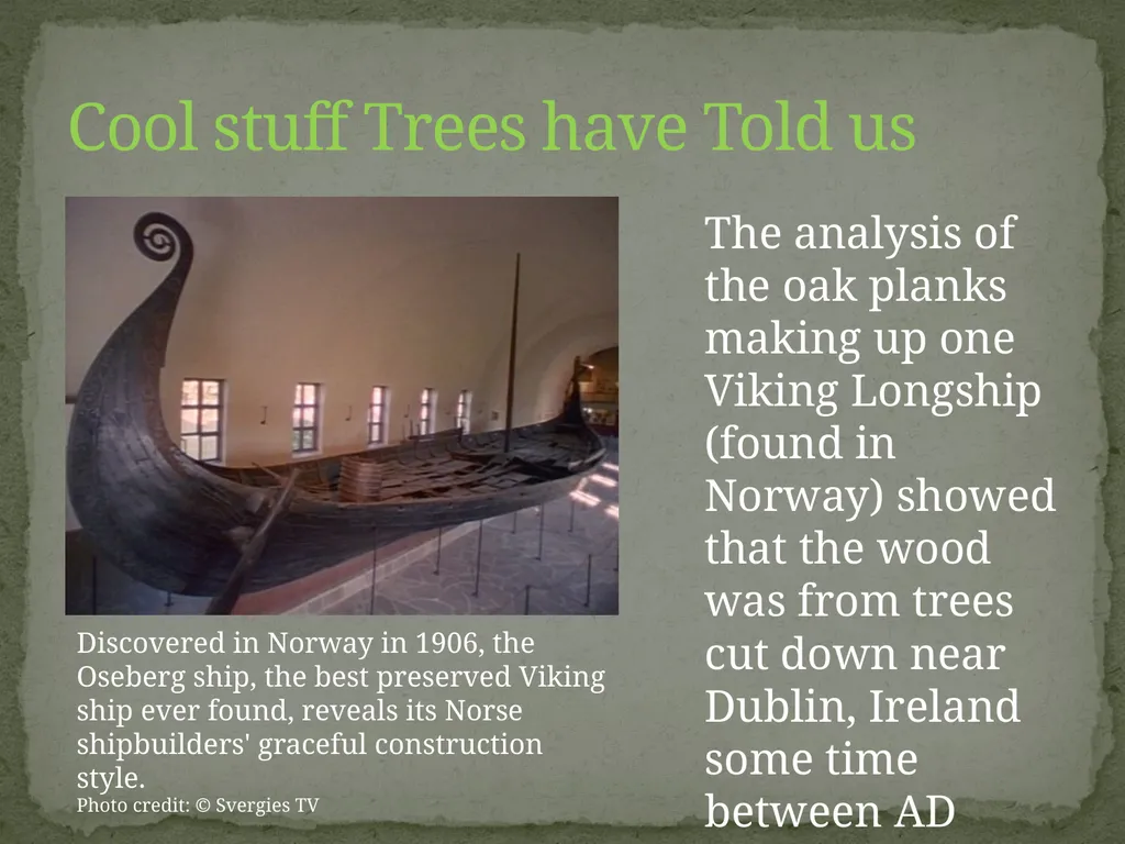 How Trees Provide Evidence about Past Climate - slide 9 of 10