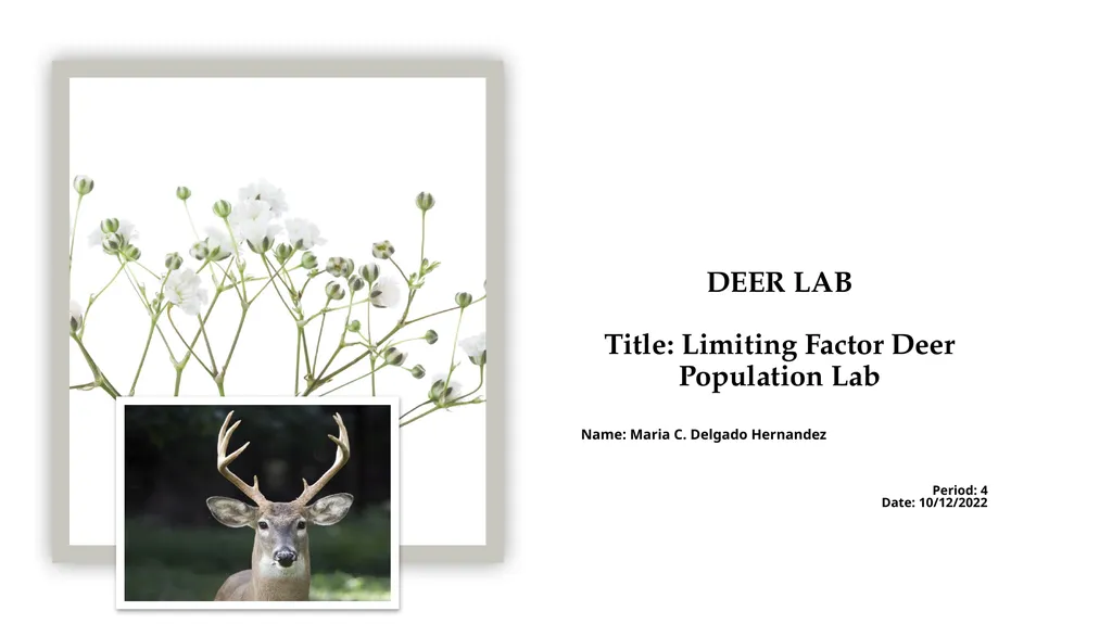DEER LAB Title: Limiting Factor Deer Population - slide 1 of 7