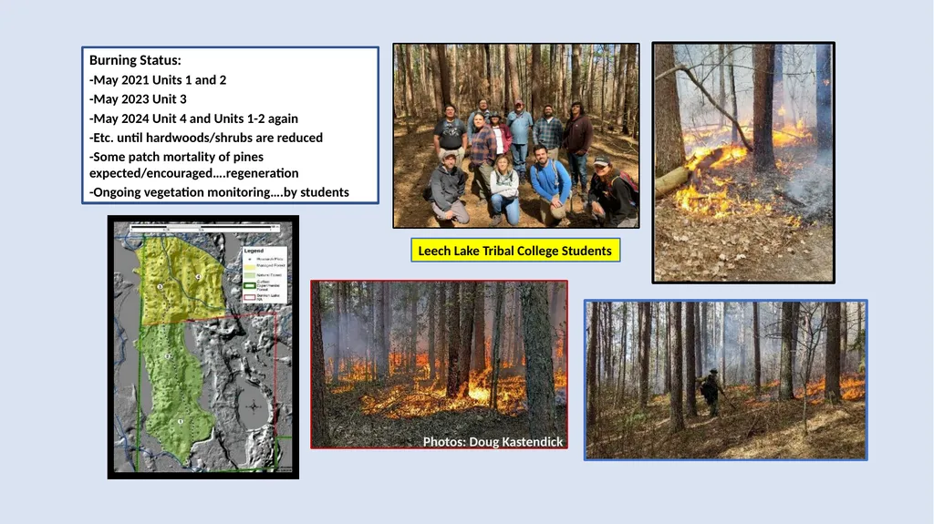 Fire Reintroduction in a Long Fire Excluded Red - slide 8 of 10
