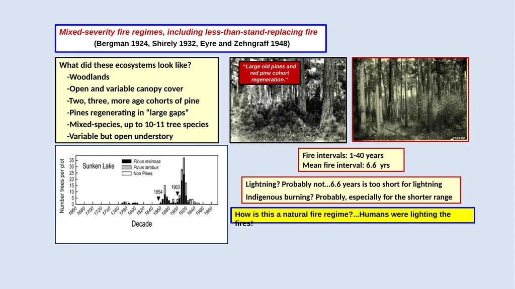 Fire Reintroduction in a Long Fire Excluded Red - slide 4 of 10